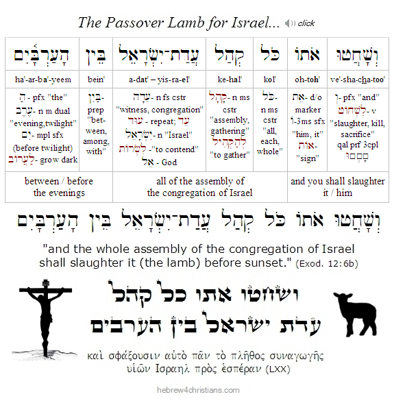Exodus 12:6b Hebrew lesson