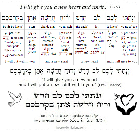 Ezekiel 36:26 Hebrew Lesson