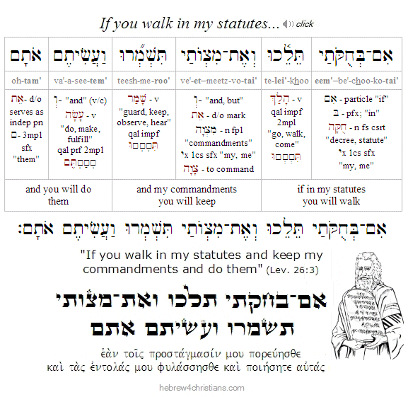 Leviticus 26:3 Hebrew Analysis