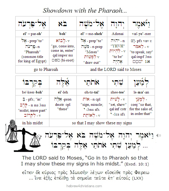 Exodus 10:1 Hebrew Lesson