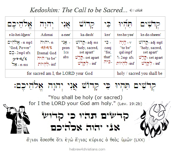 Leviticus 19:2b Hebrew Lesson