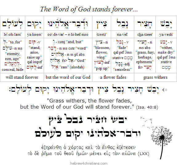 Isaiah 40:8 Hebrew Lesson