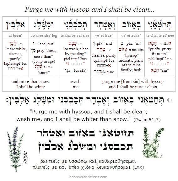 Psalm 51:7 Hebrew Lesson