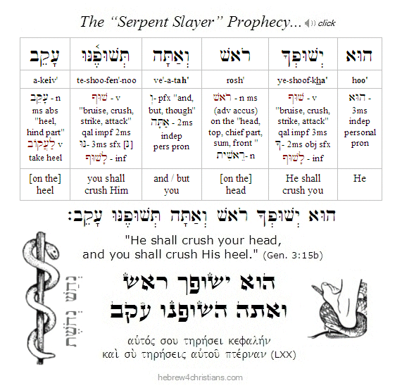 Genesis 3:15b Hebrew lesson