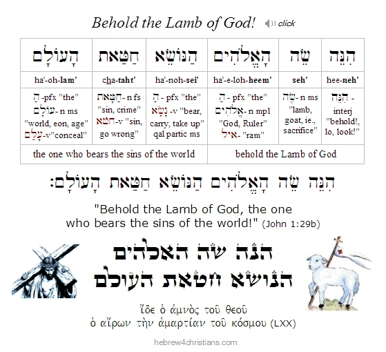 John 1:29 Hebrew lesson