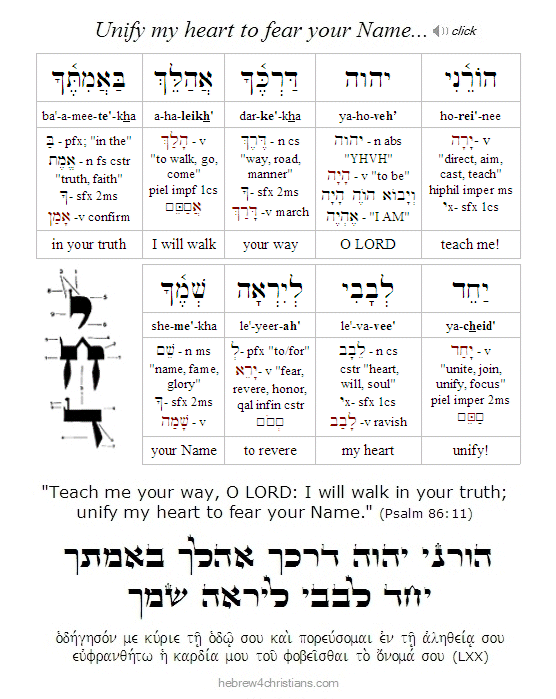 Psalm 86:11 Hebrew Analysis
