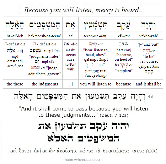 Parashat Ekev Audio Lead in