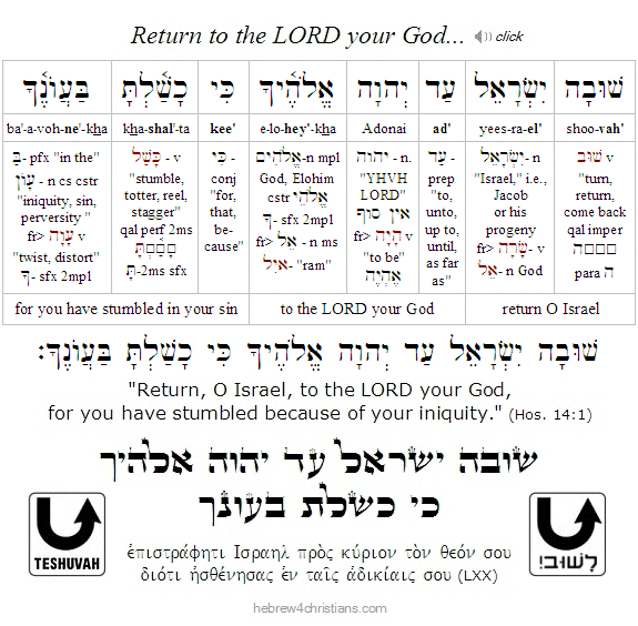 Hosea 14:1 Hebrew analysis